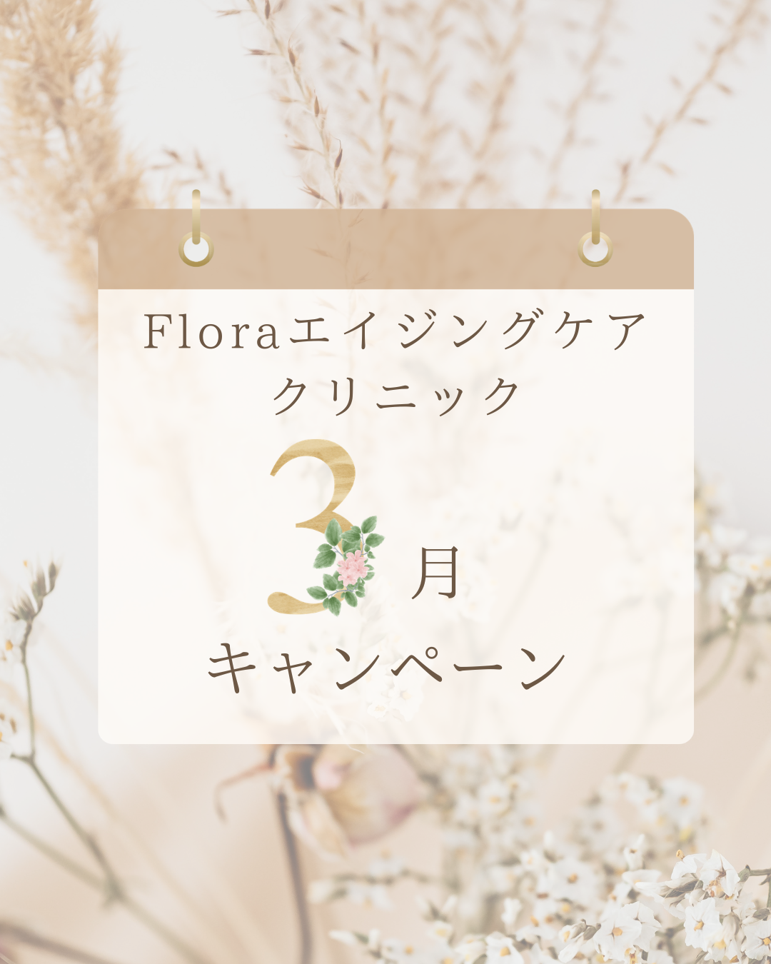 3月キャンペーン