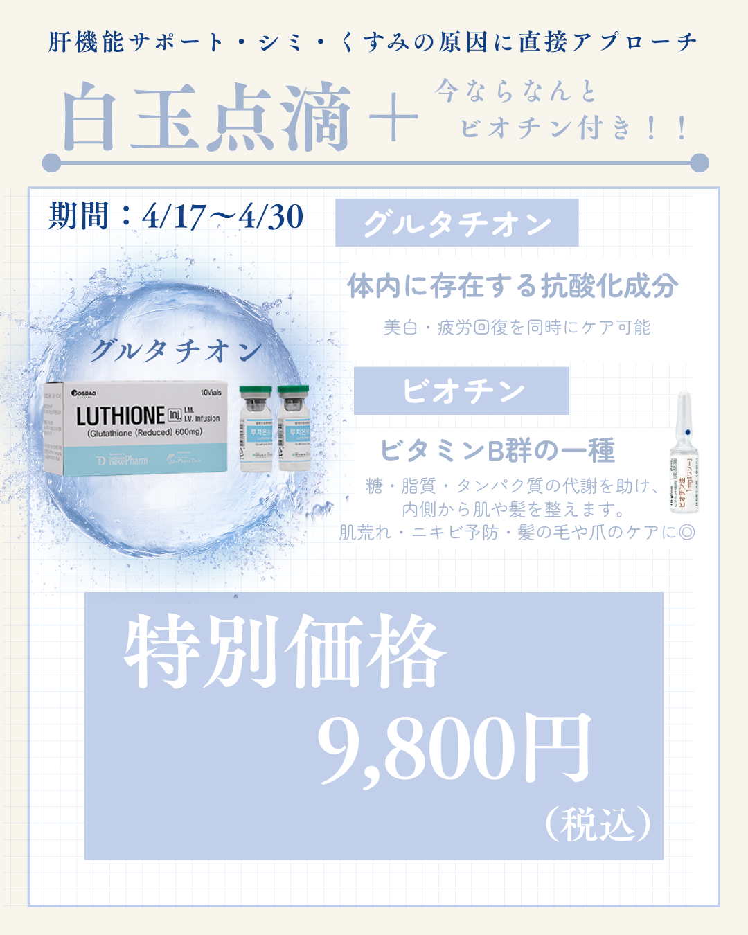 春のキャンペーン