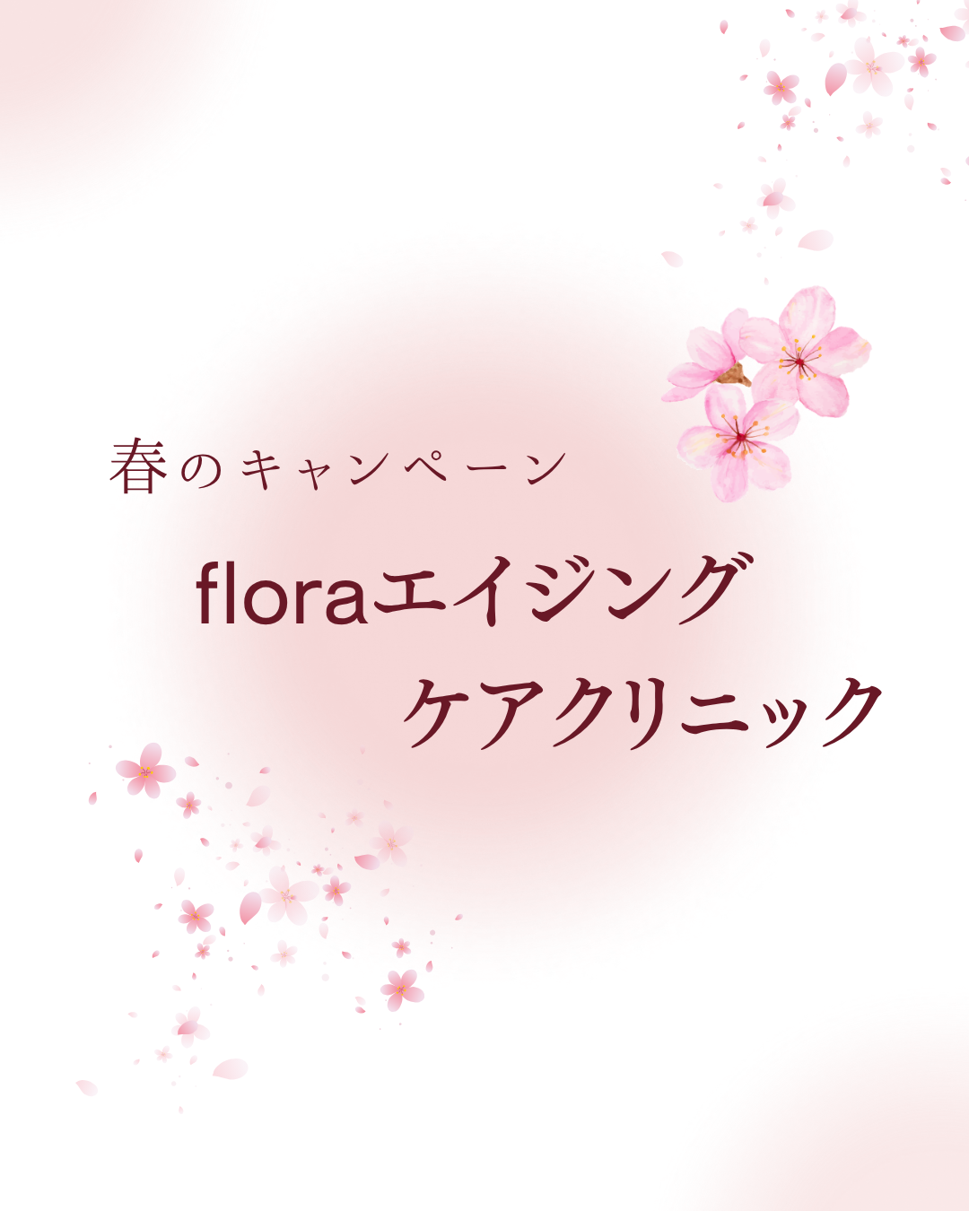 春のキャンペーン