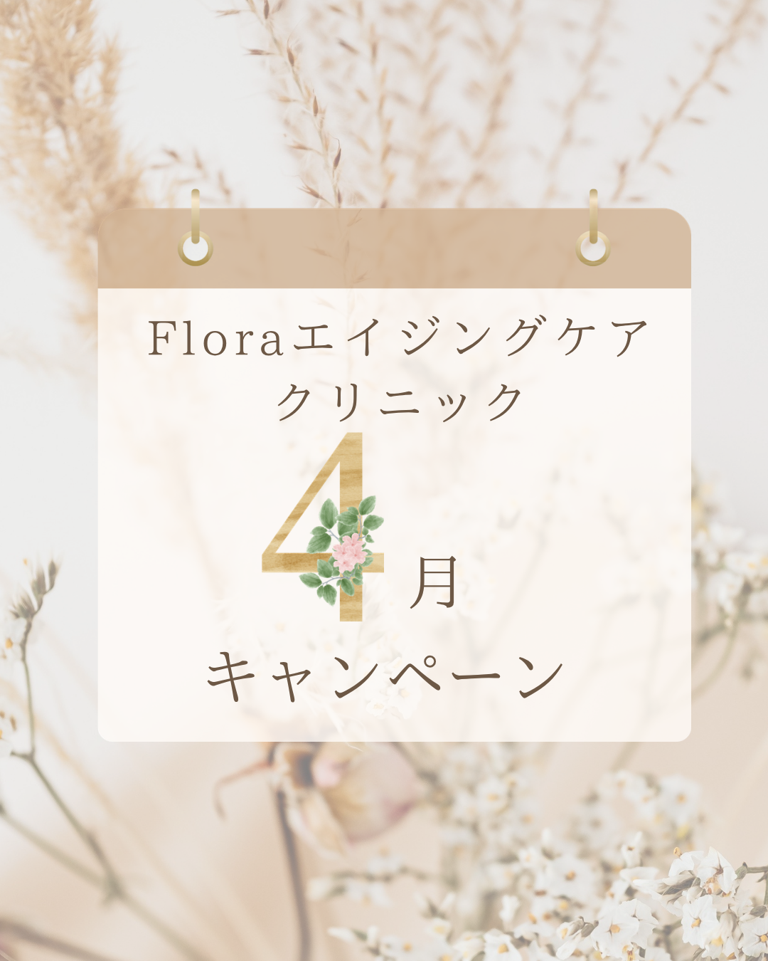 4月キャンペーン