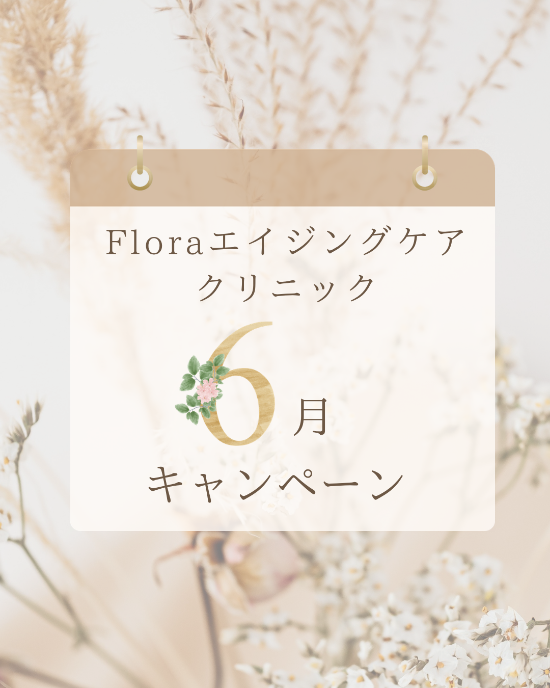 6月キャンペーン