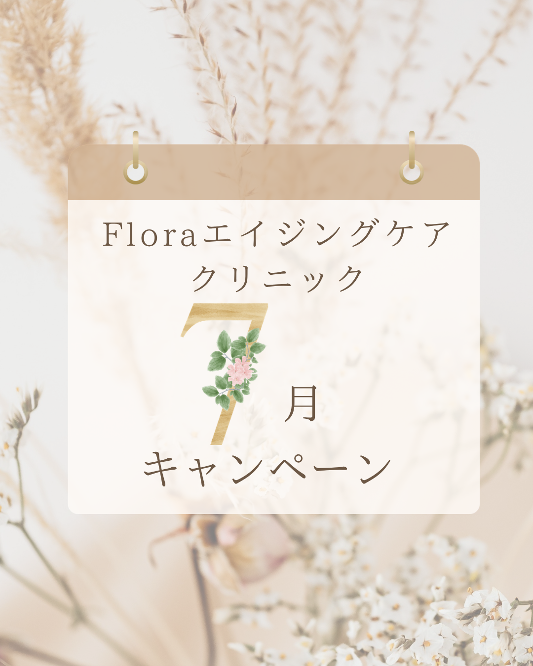 7月キャンペーン