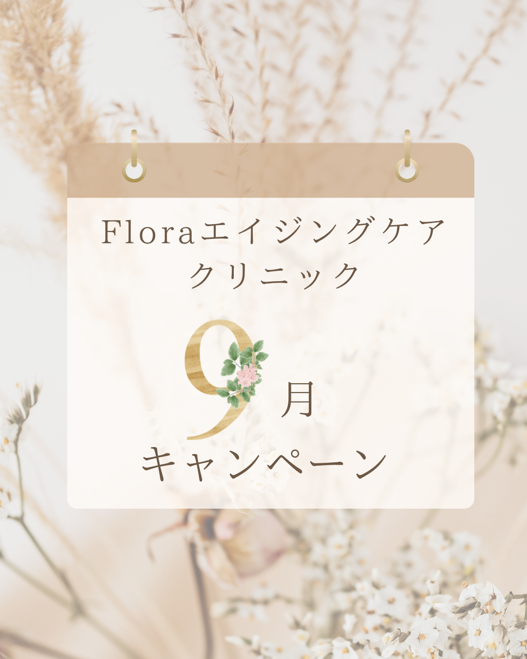 9月キャンペーン