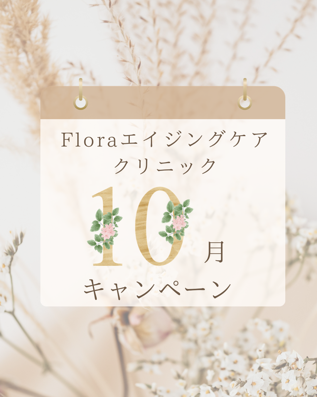10月キャンペーン